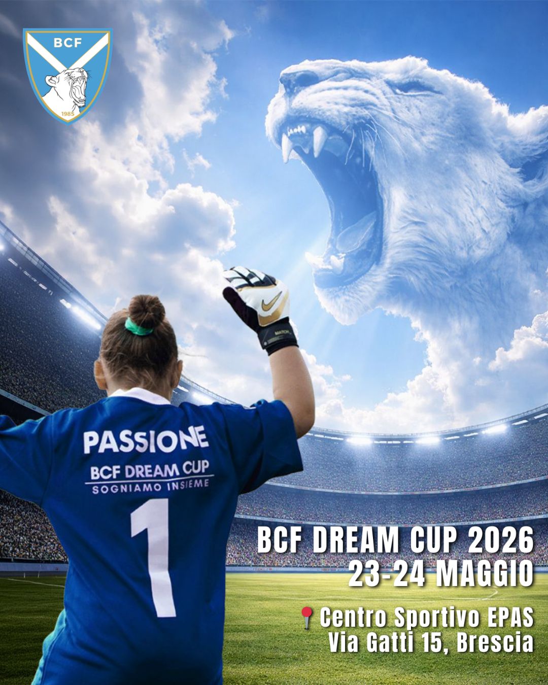 bcf-dream-cup-2026